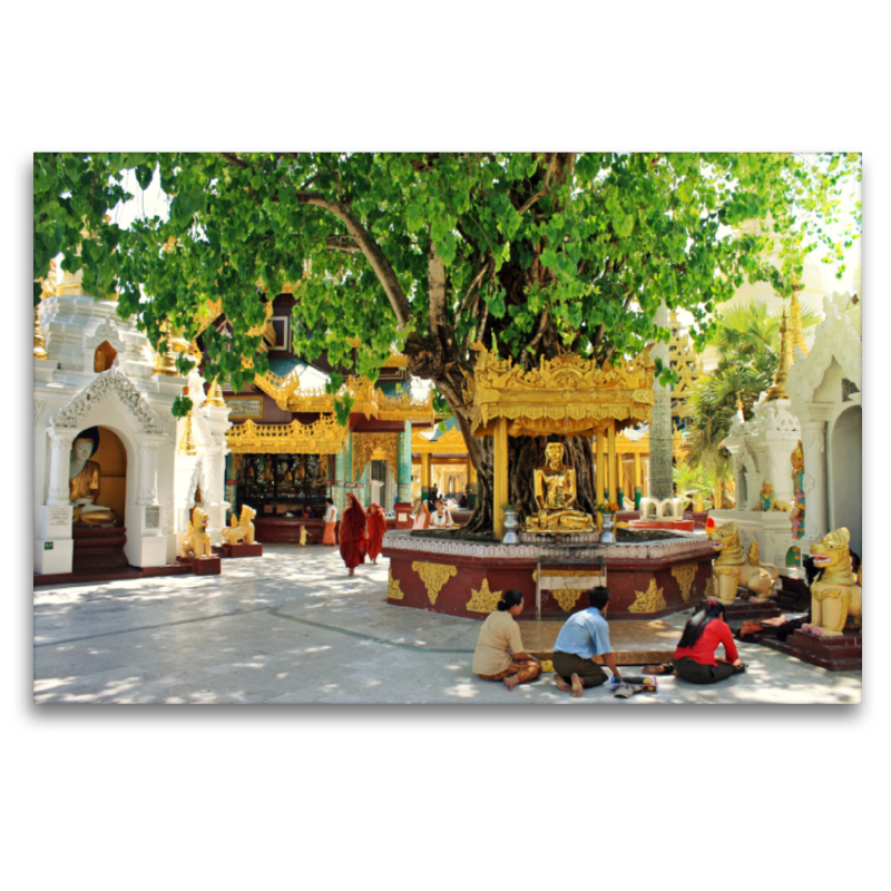 Morgengebet bei der Shwedagon-Pagode in Yangon