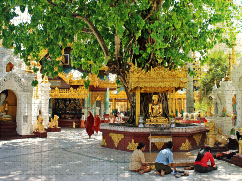 Morgengebet bei der Shwedagon-Pagode in Yangon