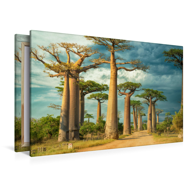 Straße der Baobabs, Region Menabe