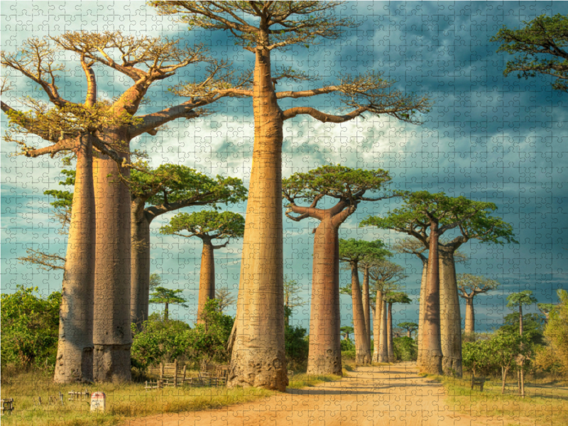 Straße der Baobabs, Region Menabe