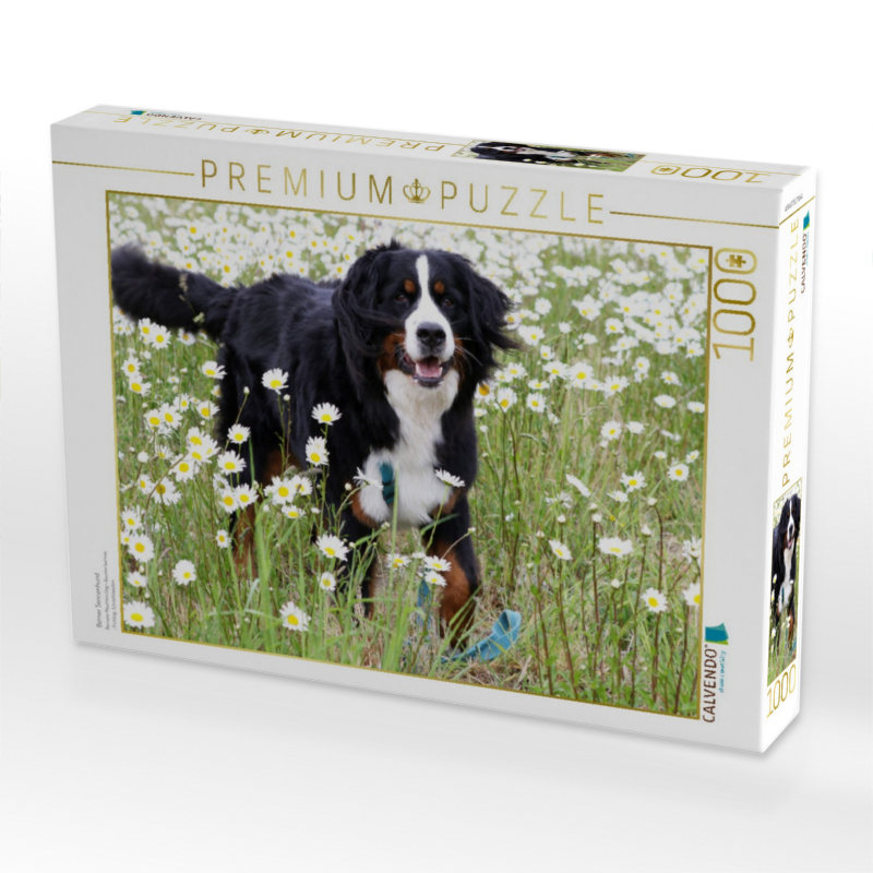 Berner Sennenhund