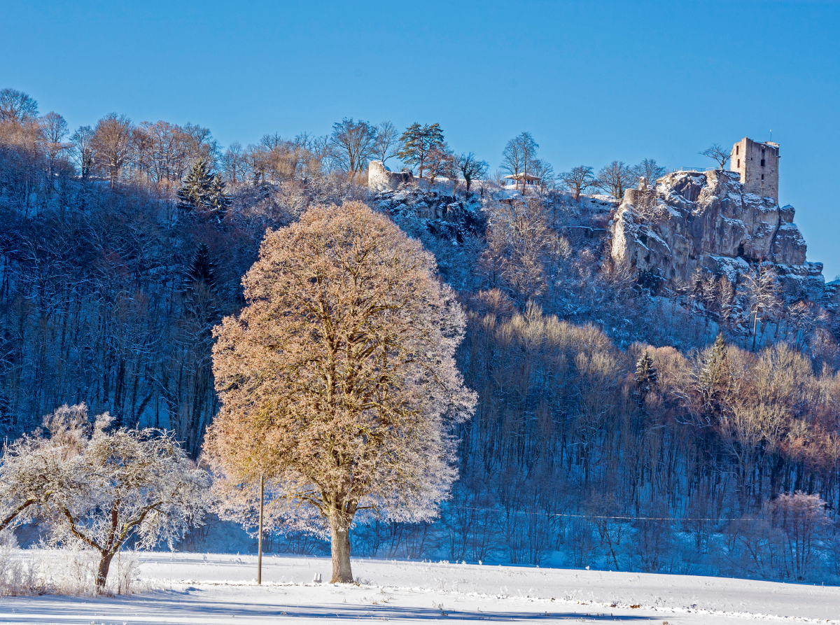 Winterlandschaft im Wiesenttal am Fuße der Burg Neideck