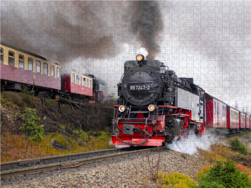 Brockenbahn Zugkreuzung am Haltepunkt Goetheweg