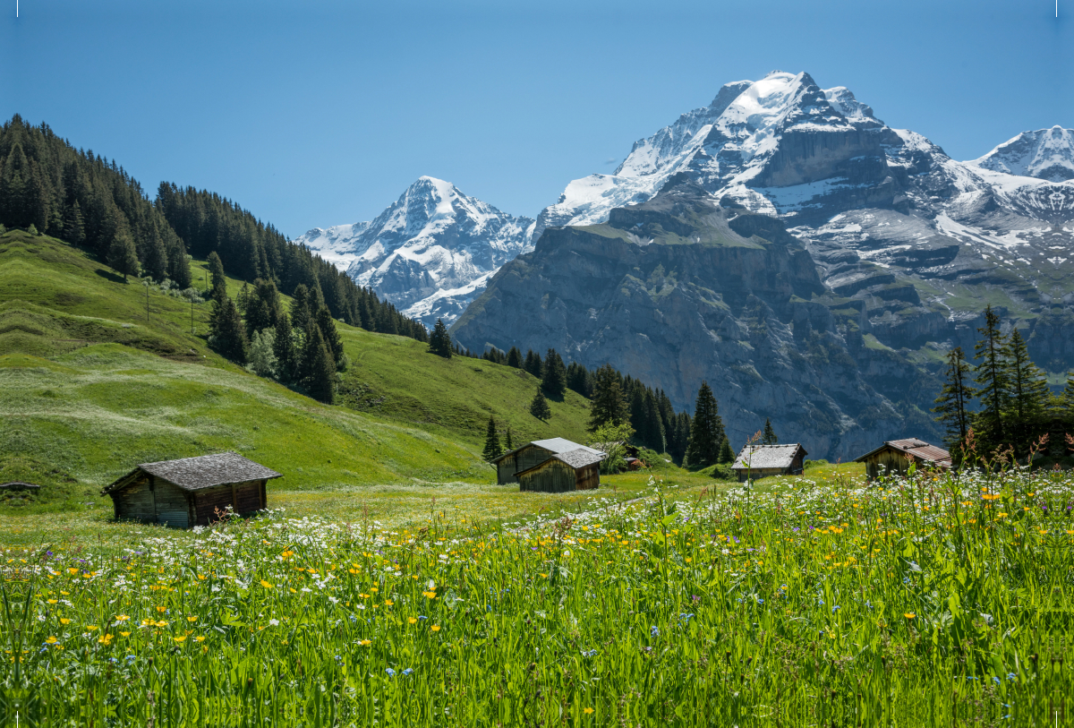 Alphütten mit Mönch, Berner Oberland nahe Birg, Schweiz