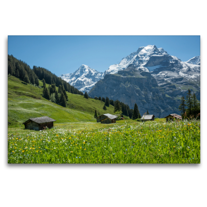 Alphütten mit Mönch, Berner Oberland nahe Birg, Schweiz