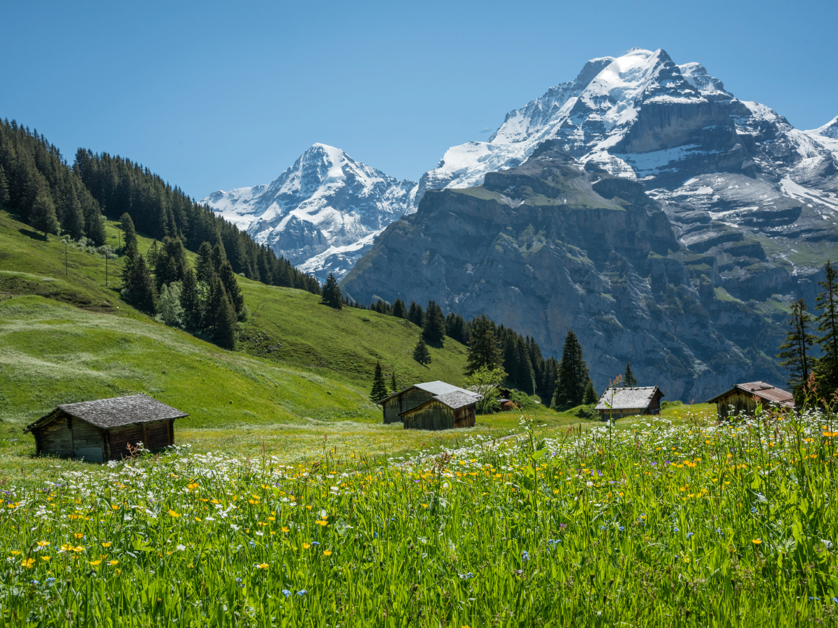 Alphütten mit Mönch, Berner Oberland nahe Birg, Schweiz