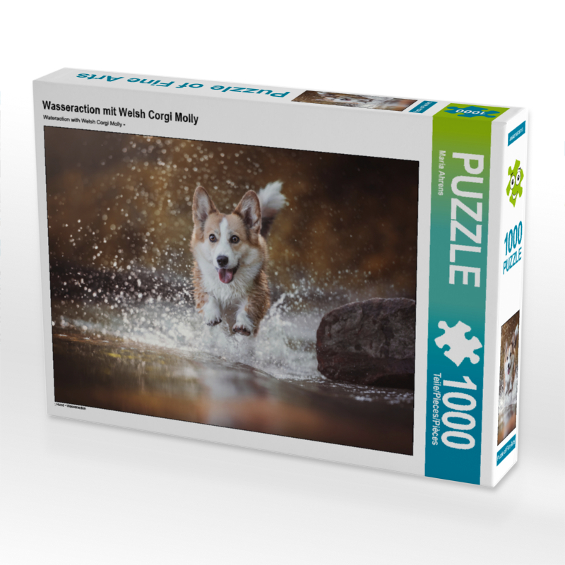 Wasseraction mit Welsh Corgi Molly