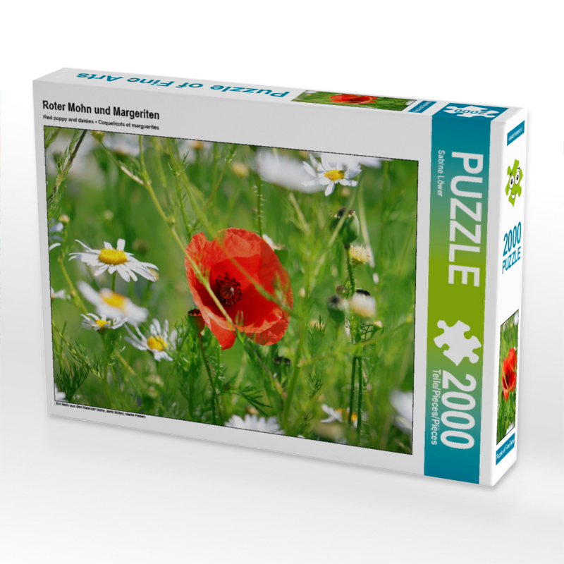 Roter Mohn und Margeriten