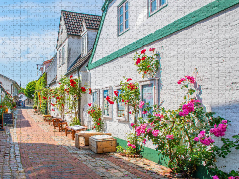 Fassade mit Rosen
