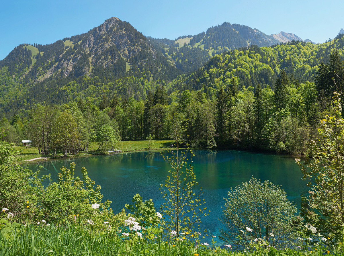 Christlessee im Trettachtal