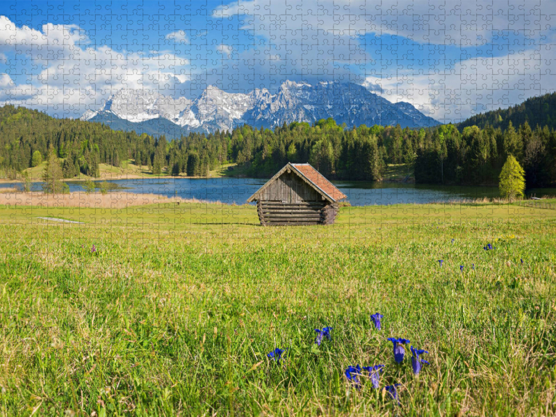 Enzianwiese am Geroldsee