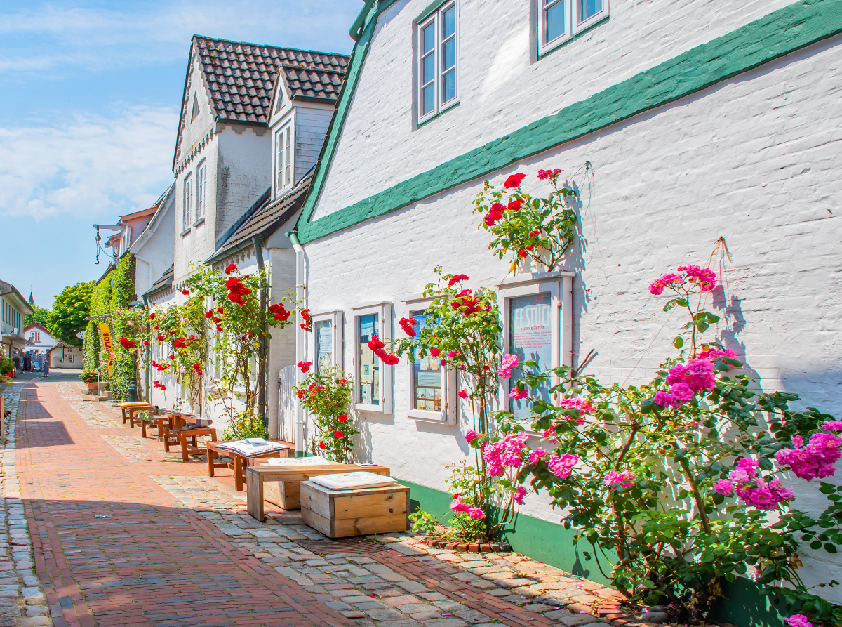 Fassade mit Rosen