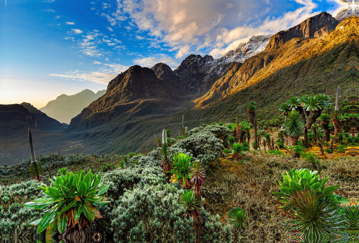 Sonnenaufgang im Mogusu-Tal des Ruwenzori