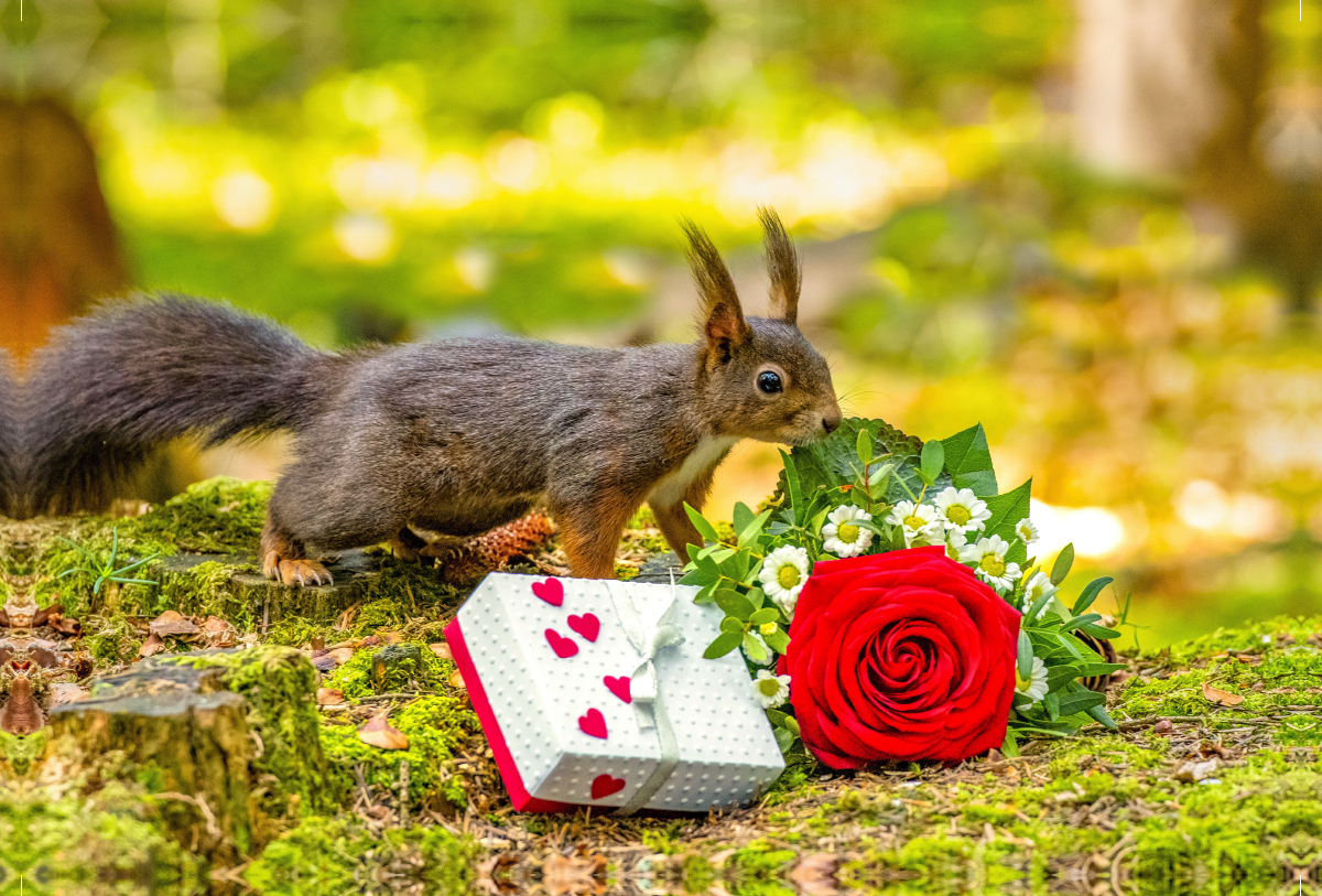 Das Eichhörnchen wünscht alles Gute!