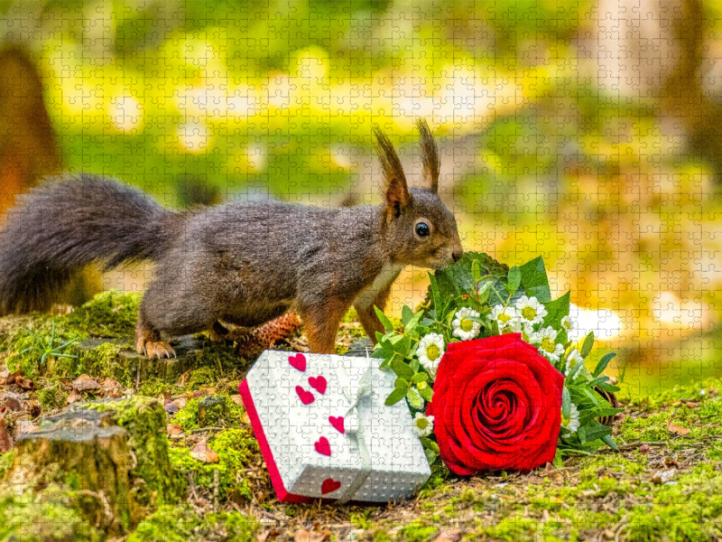 Das Eichhörnchen wünscht alles Gute!