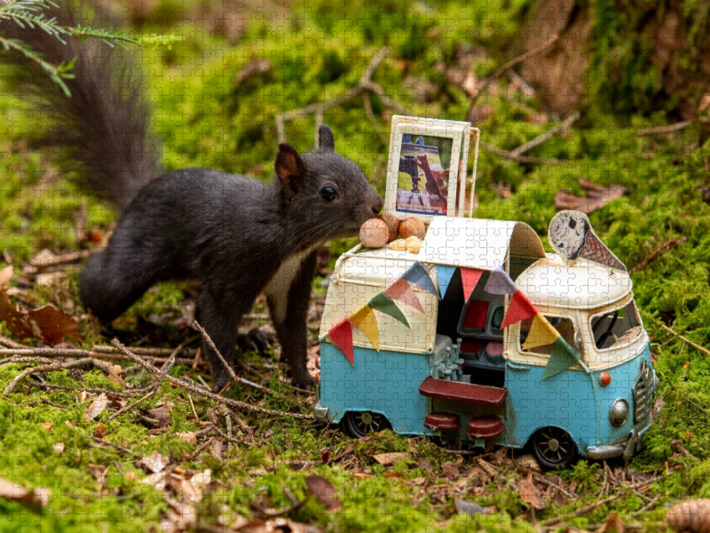 Es gibt Nuss-Eis, liebes Schwarzwald-Eichhörnchen!