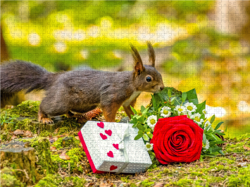 Das Eichhörnchen wünscht alles Gute!