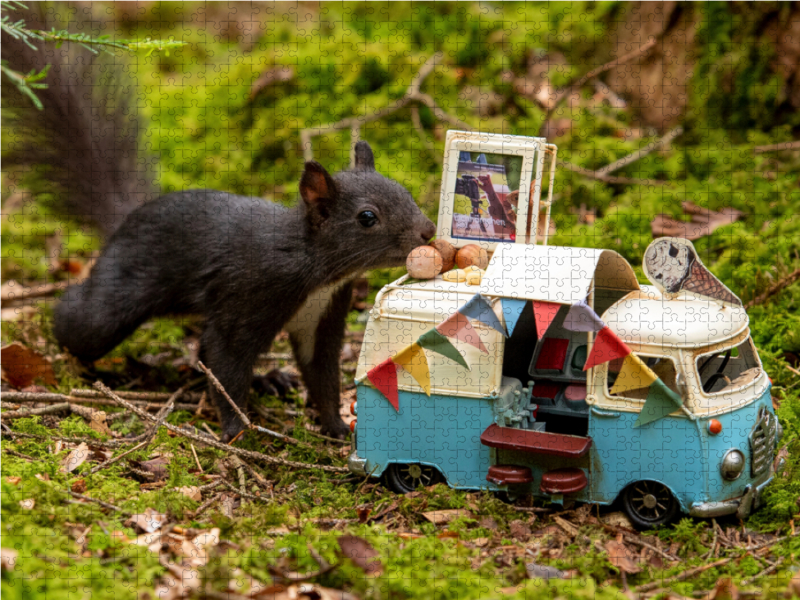 Es gibt Nuss-Eis, liebes Schwarzwald-Eichhörnchen!