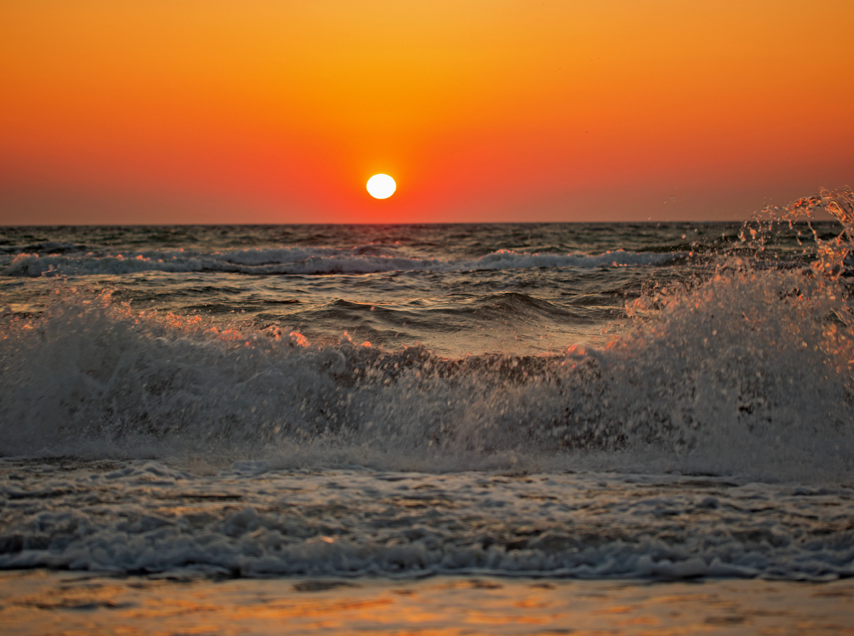 Ostsee - Natur pur