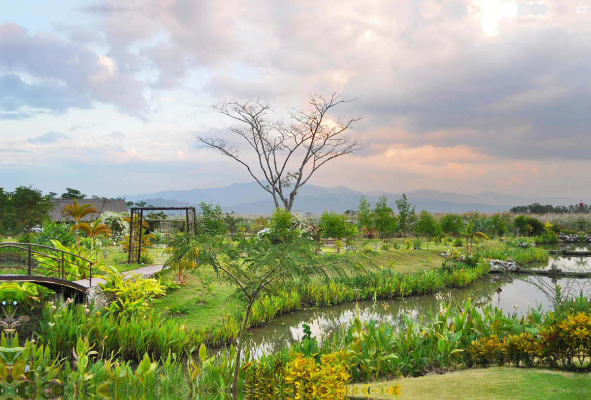 Chiang Mai