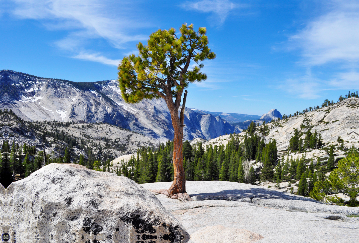 Ein Motiv aus dem Kalender Erlebe mit mir die Landschaft des Yosemite Nationalpark