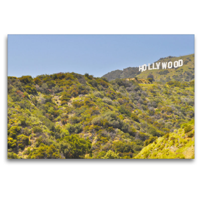 Hollywood