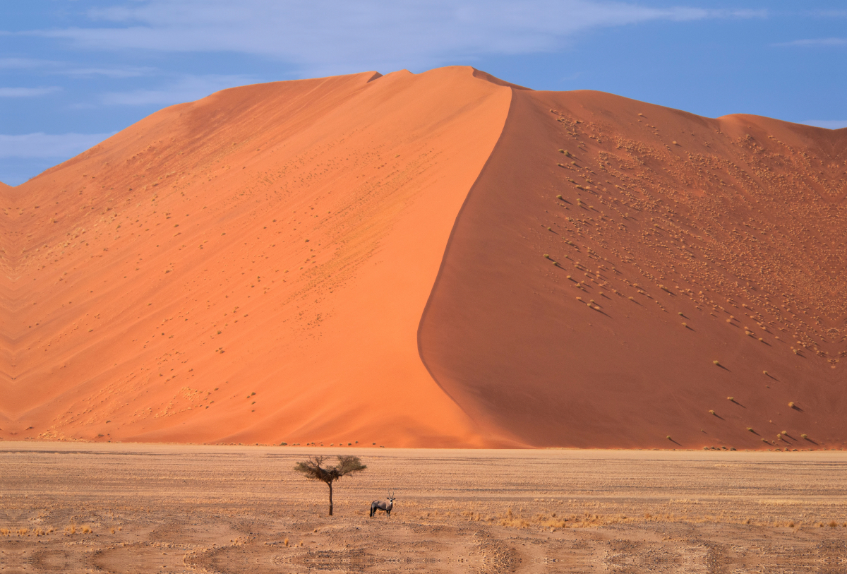 Oryx, Sossusvlei, Namib-Naukluft National Park