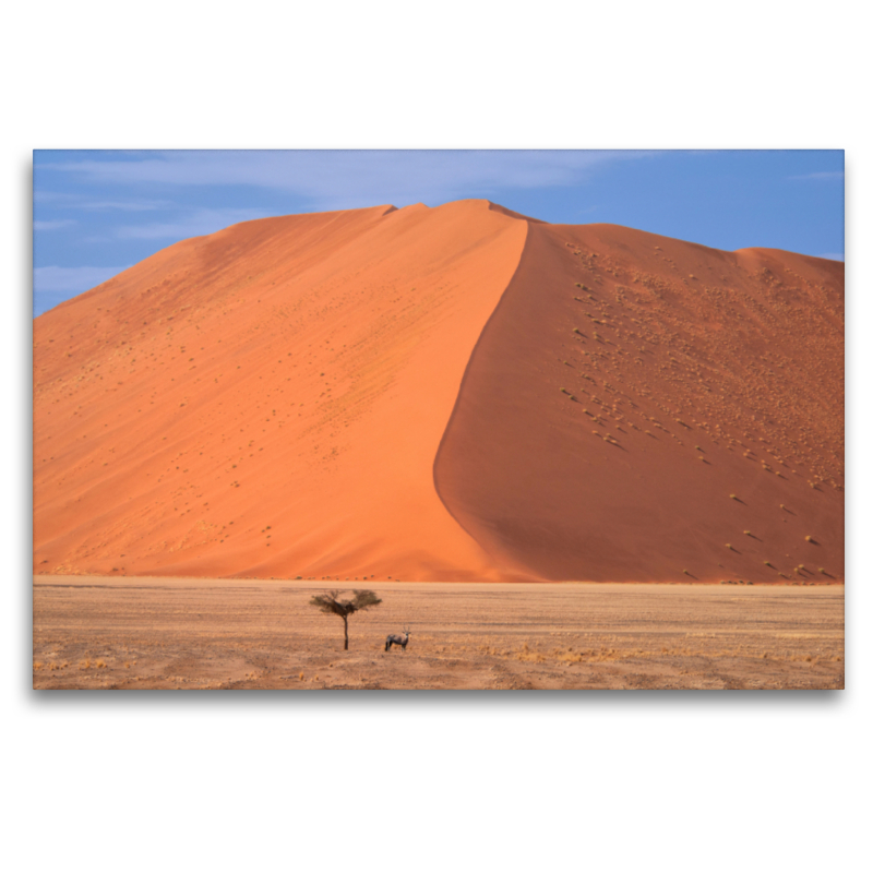 Oryx, Sossusvlei, Namib-Naukluft National Park