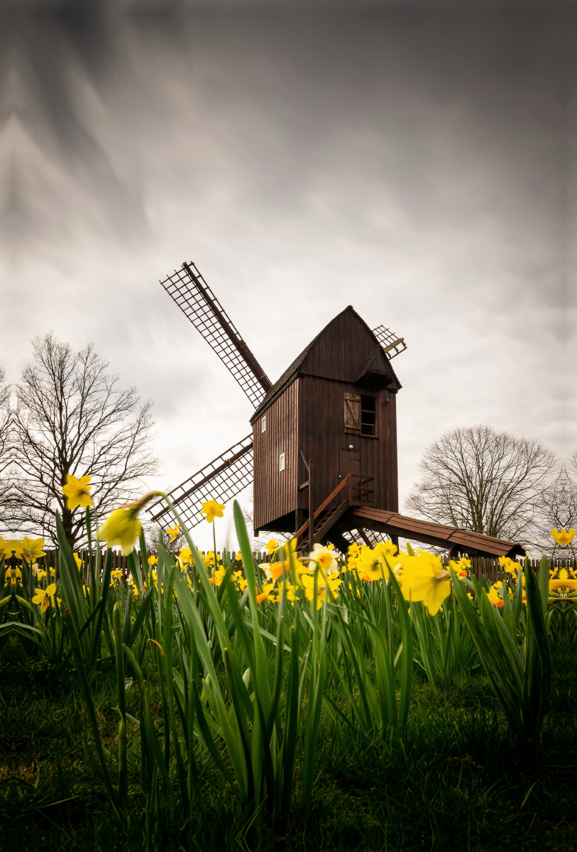 Bockwindmühle Victoria Luise in Braunschweig-Riddagshausen