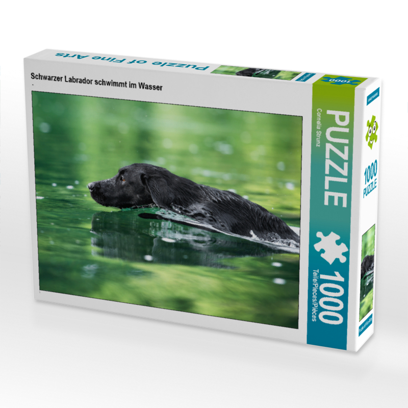 Schwarzer Labrador schwimmt im Wasser