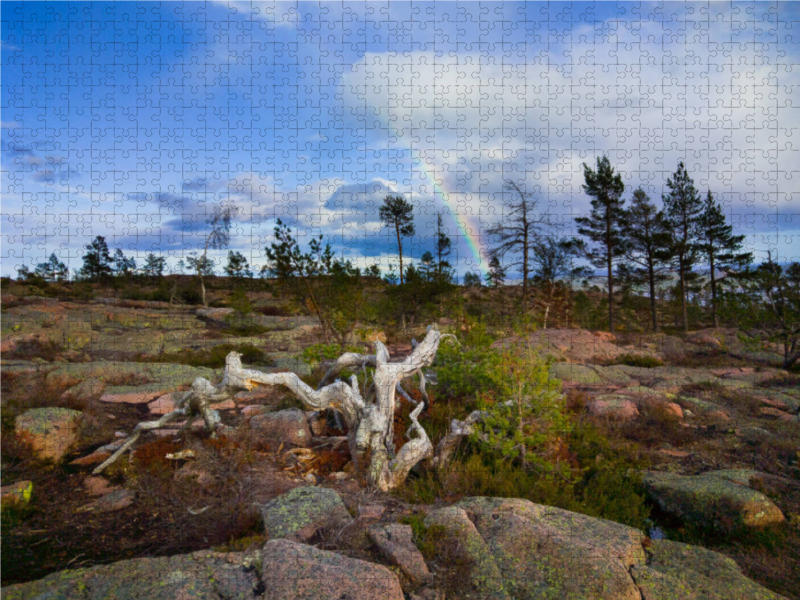 Schweden - Skuleskogen NP.