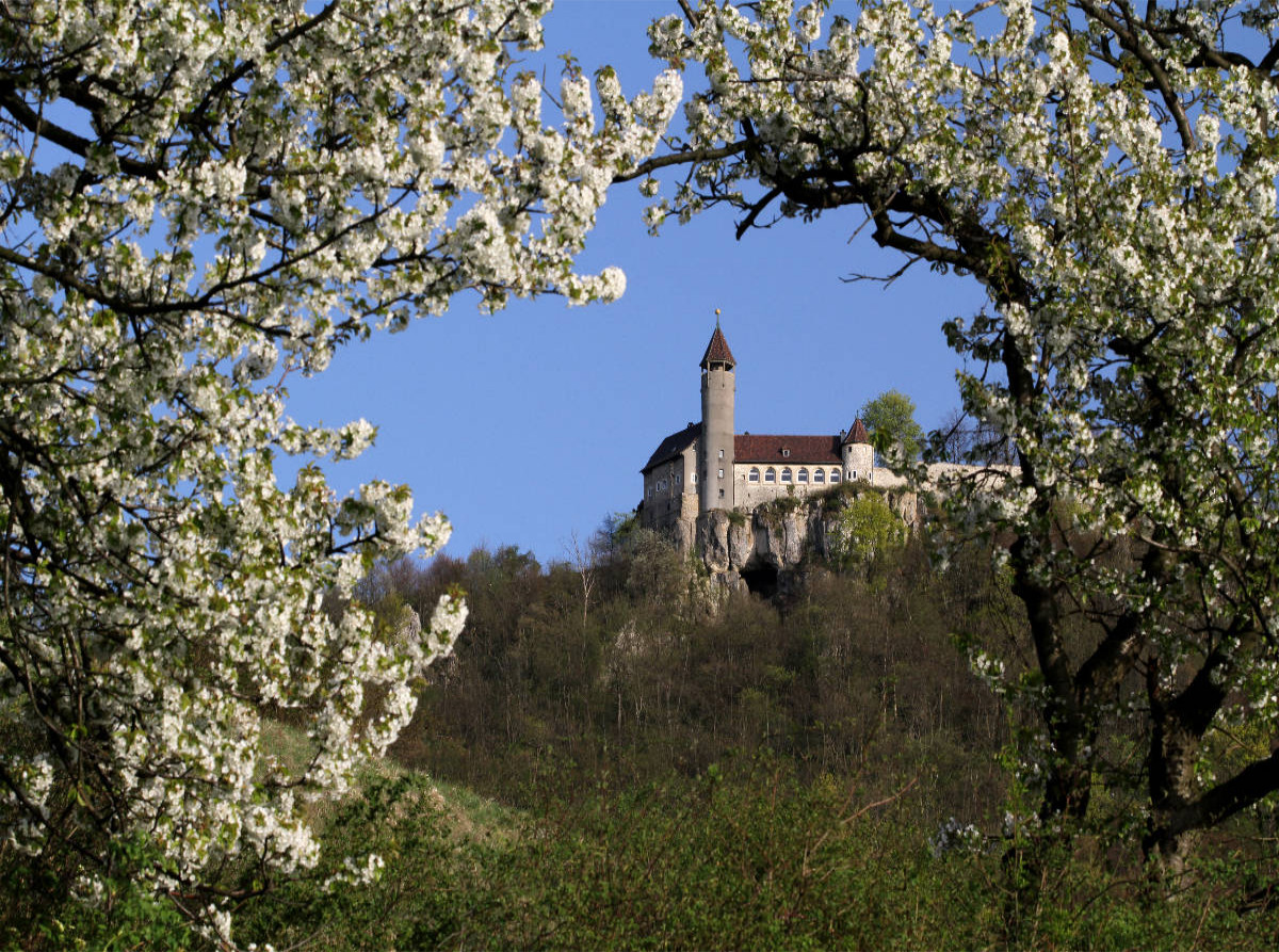 Burg Teck von der Owener Steige