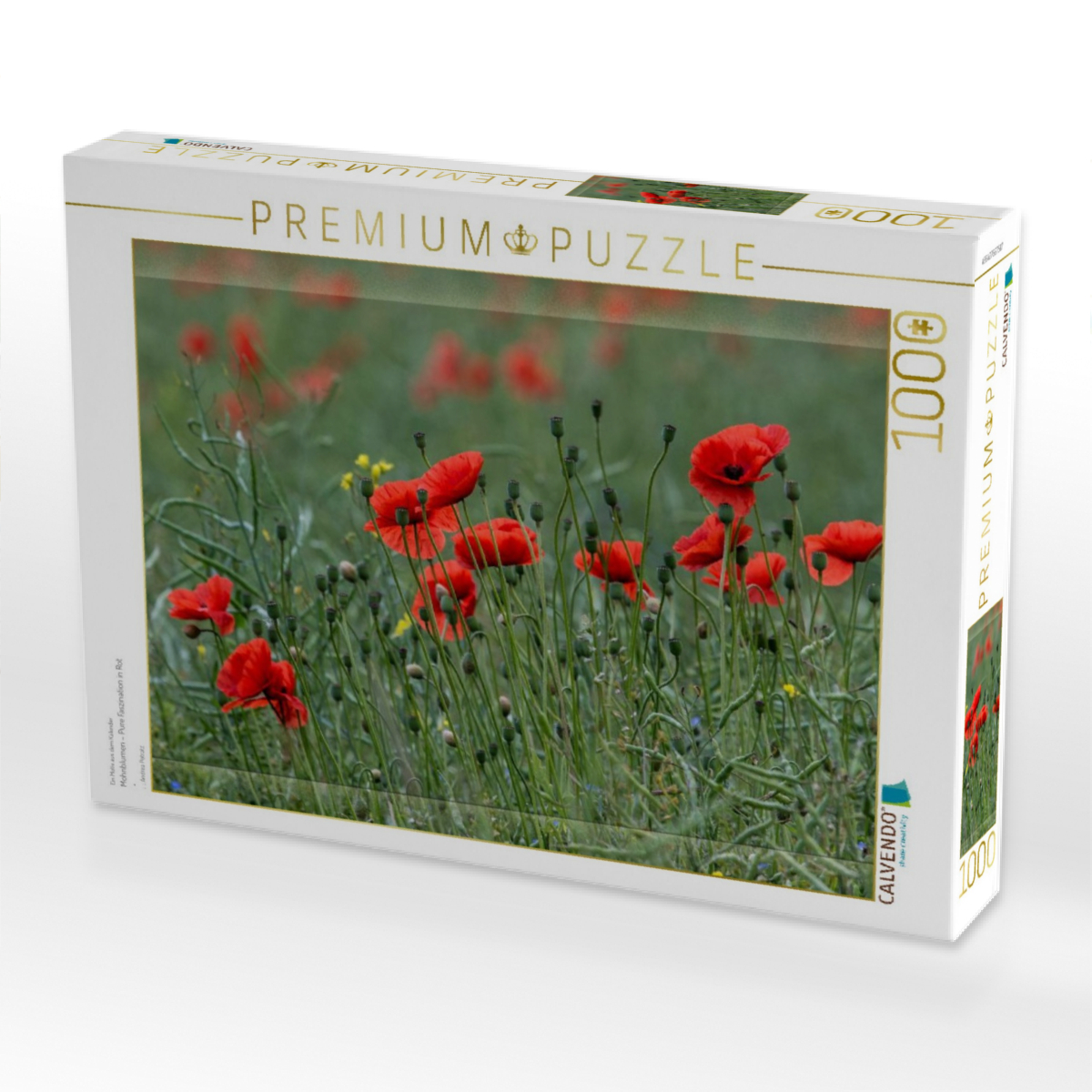 Mohnblumen – Pure Faszination in Rot
