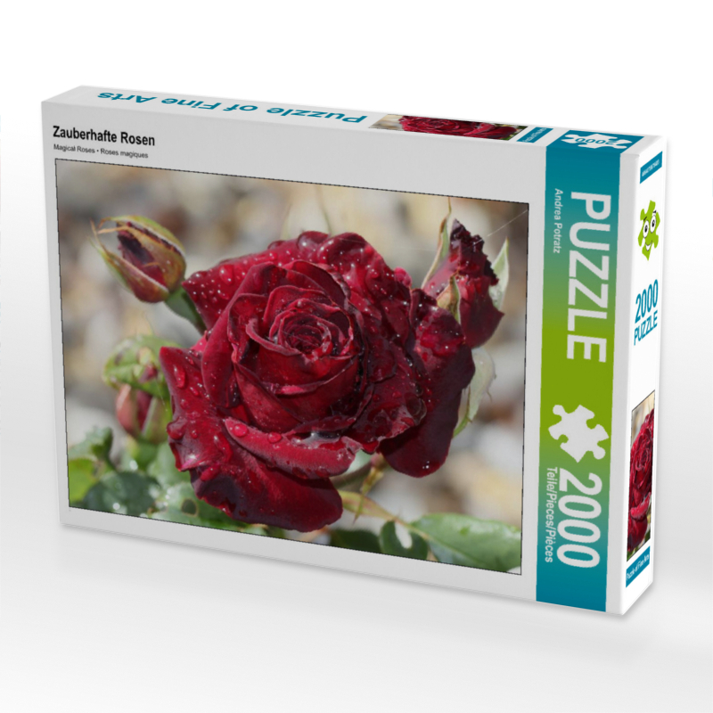 Zauberhafte Rosen