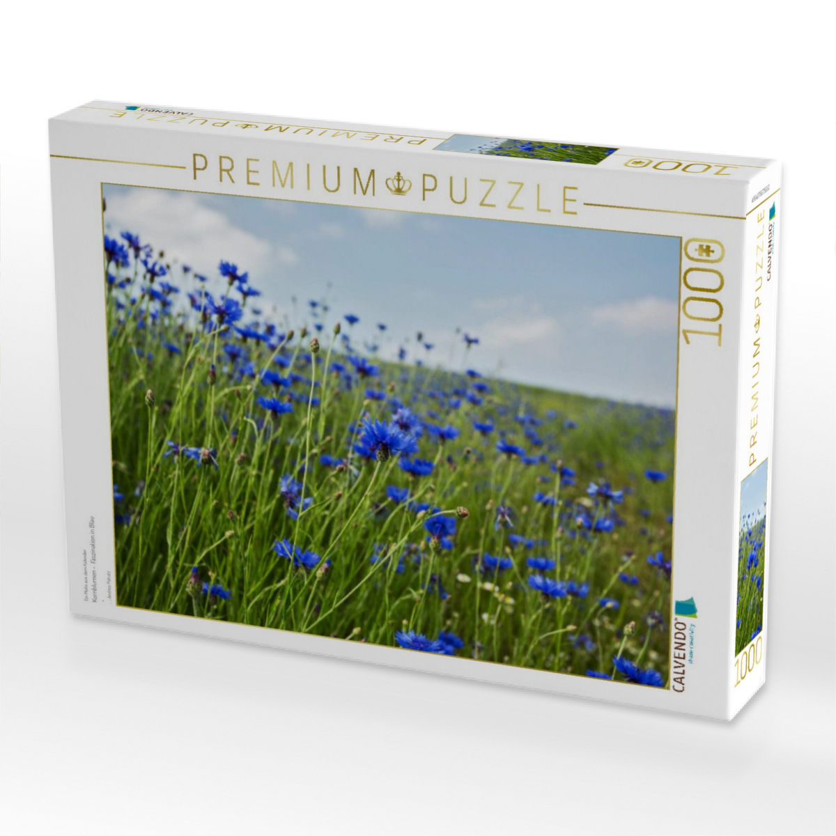 Kornblumen -  Faszination in Blau