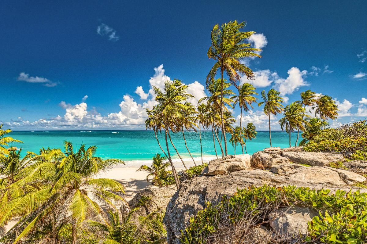 Traumstrand mit Palmen auf Barbados - Bottom Bay