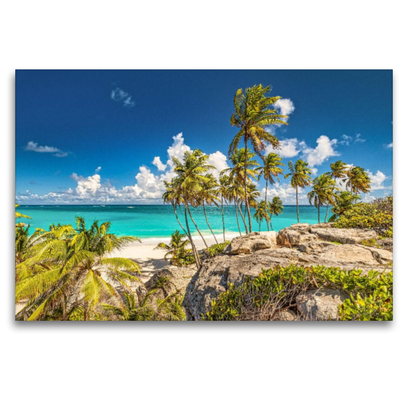 Traumstrand mit Palmen auf Barbados - Bottom Bay