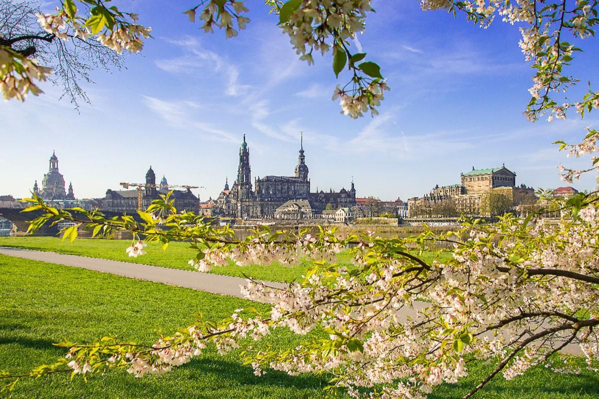 Frühling in Dresden...