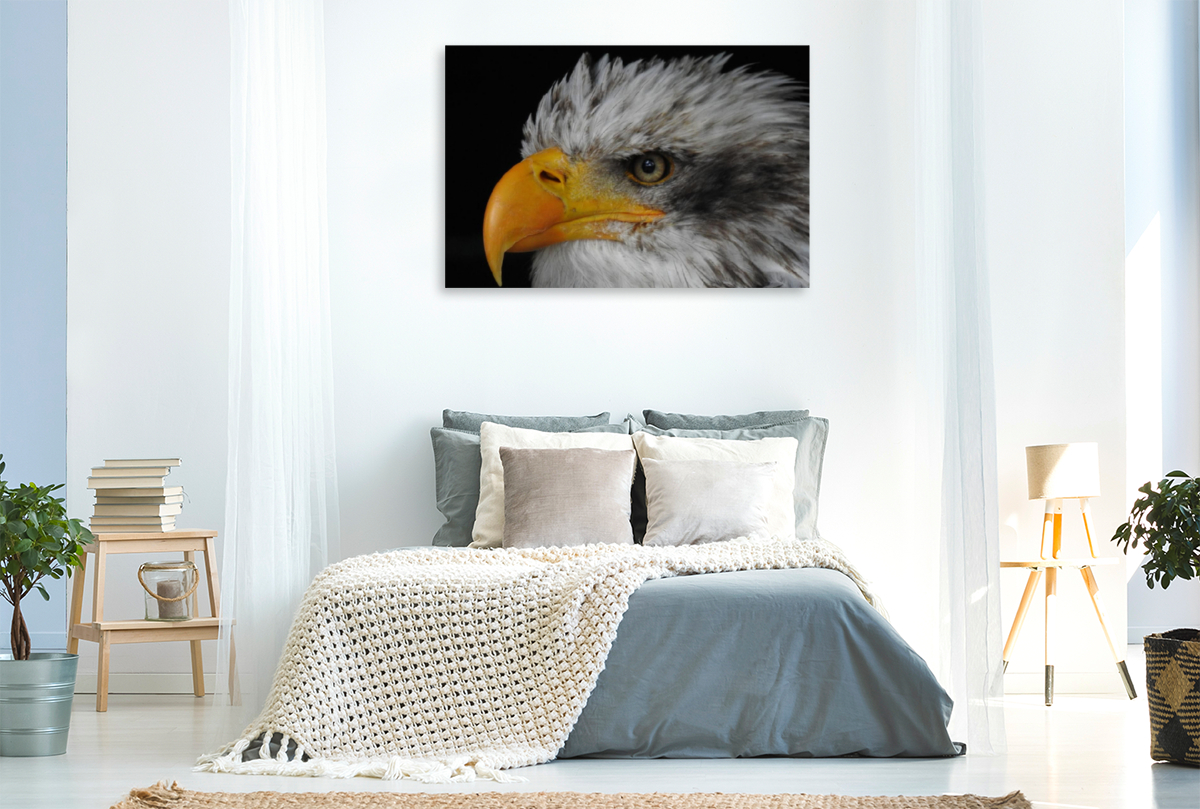 Seeadler