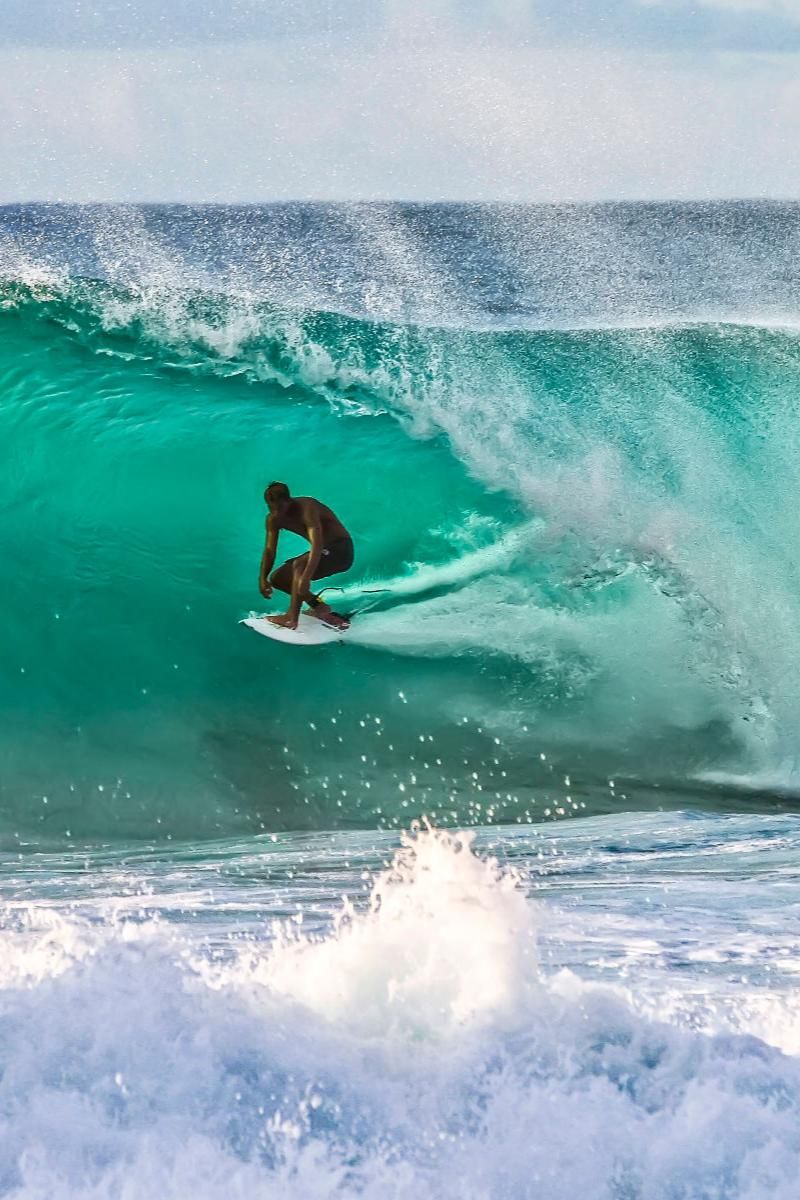 Surfen auf der perfekten Welle