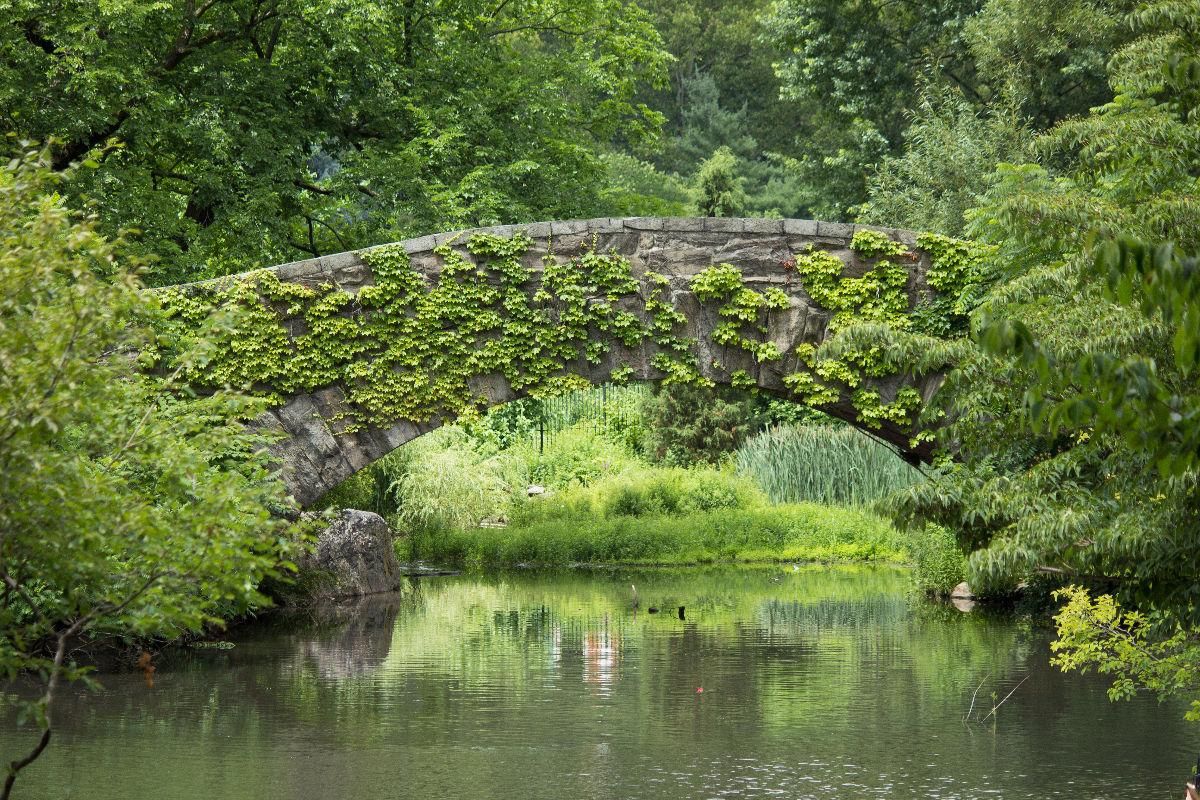 Gapstow Bridge Central Park Manhattan