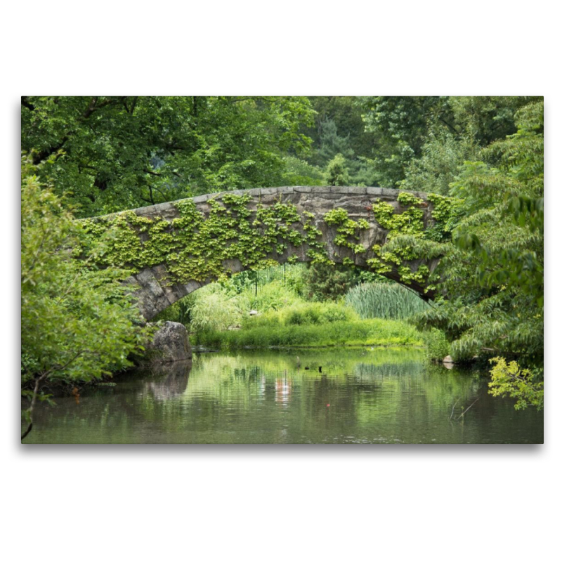 Gapstow Bridge Central Park Manhattan