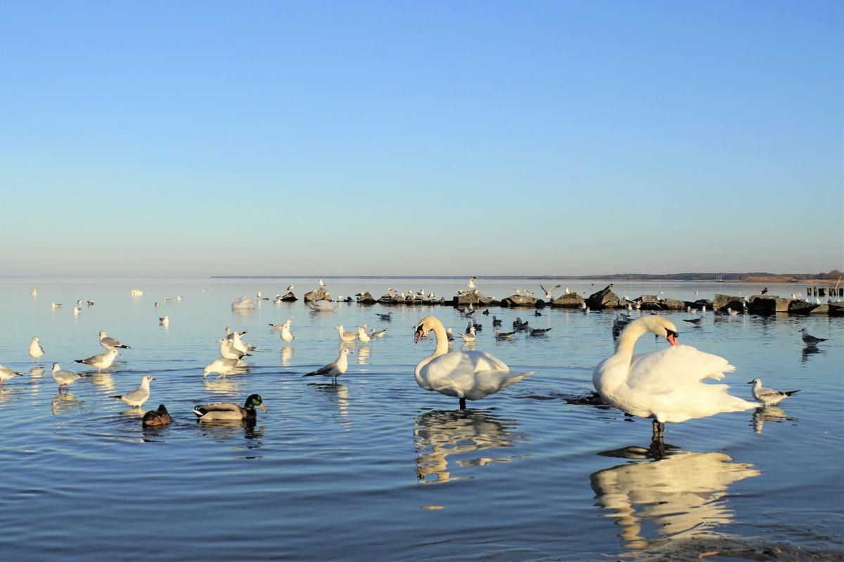 Strand Ueckermünde