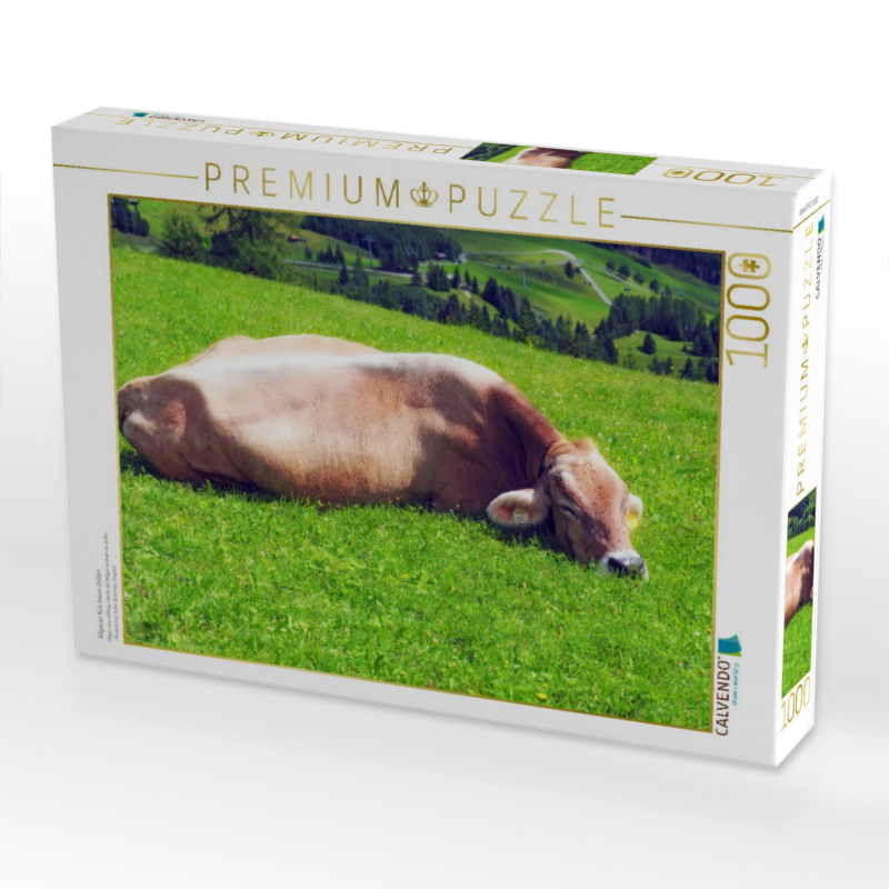 Allgäuer Kuh beim chillen