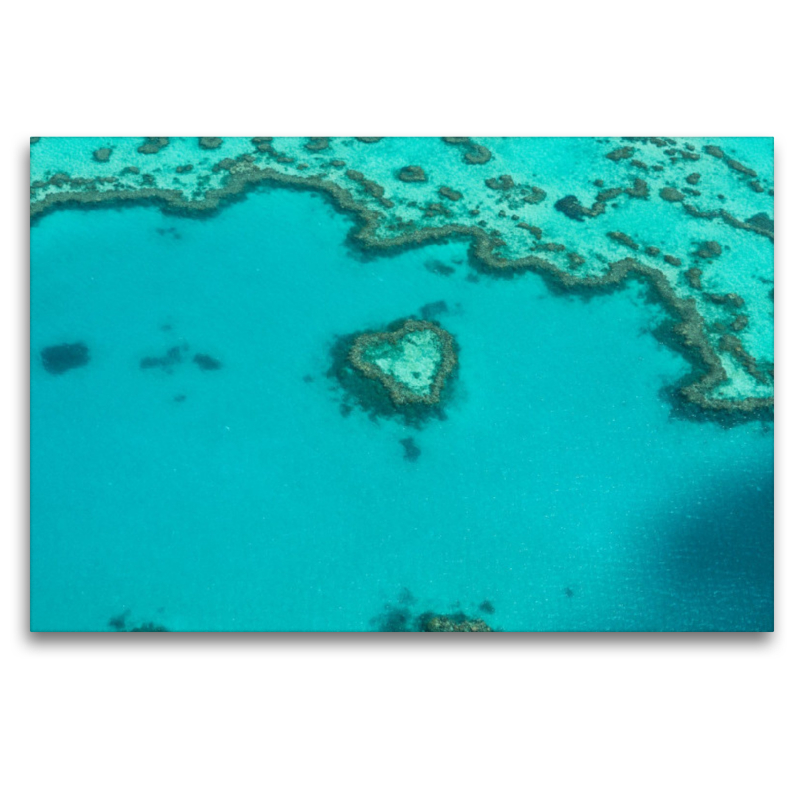 Heart Reef, Great Barrier Reef