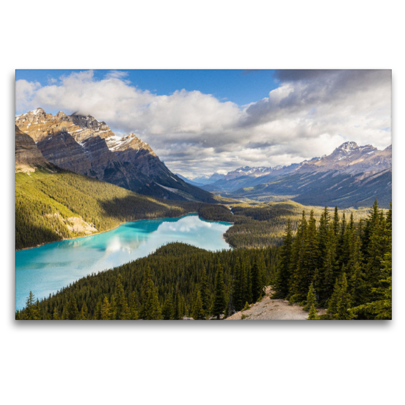 Lake Peyto