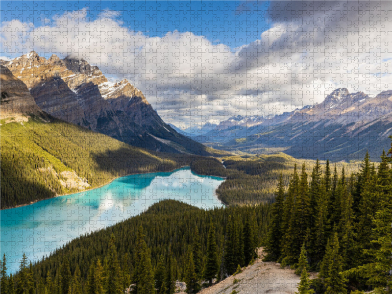 Lake Peyto