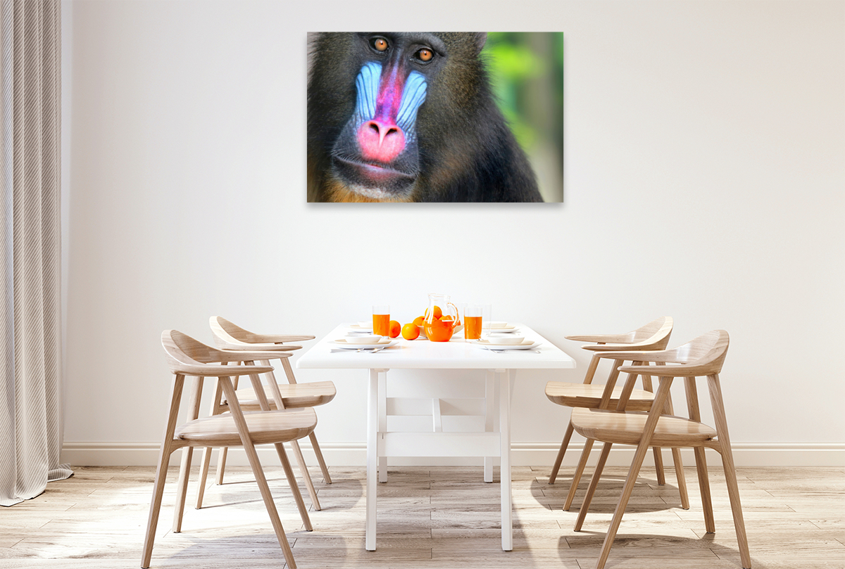 MANDRILL