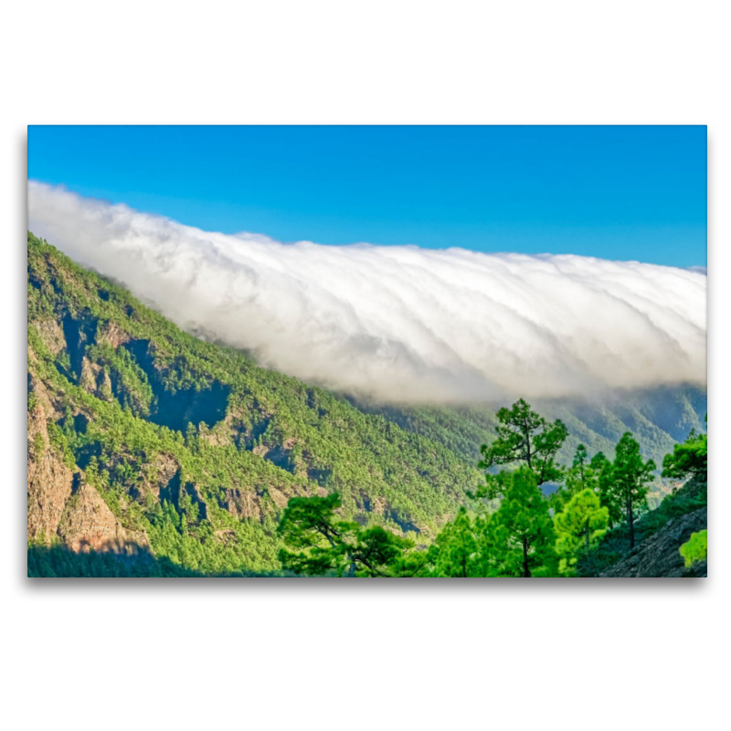 La Palma