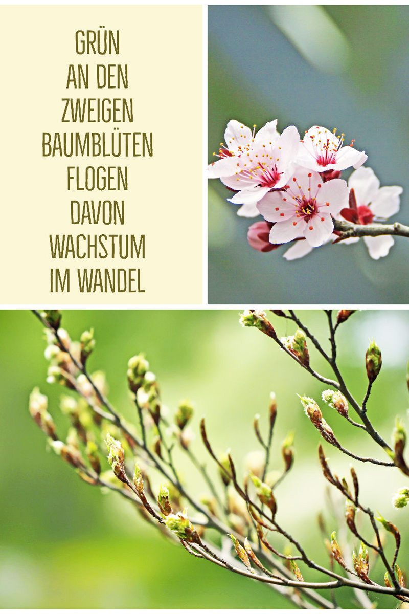 Wachstum im Wandel